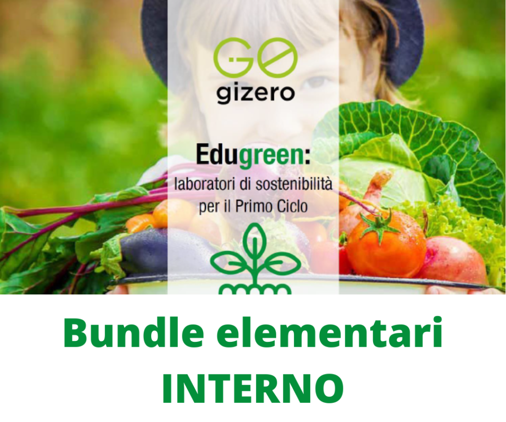 Bundle GiZero Elementari Interno
